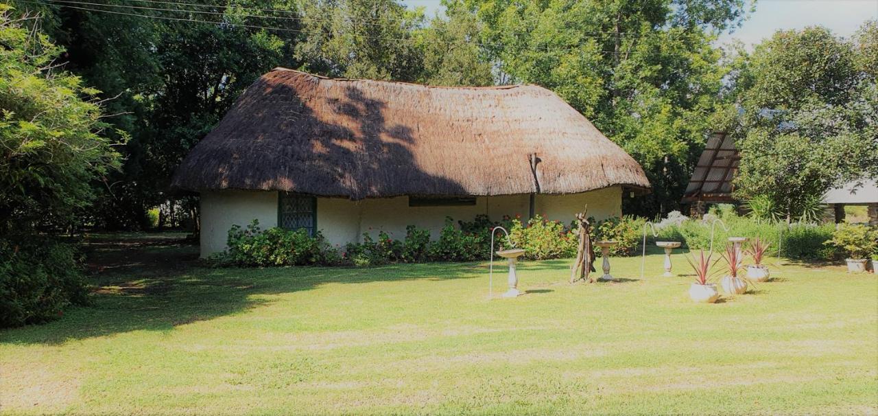 Drakensberg Bush Lodge And Backpackers Winterton Exterior photo